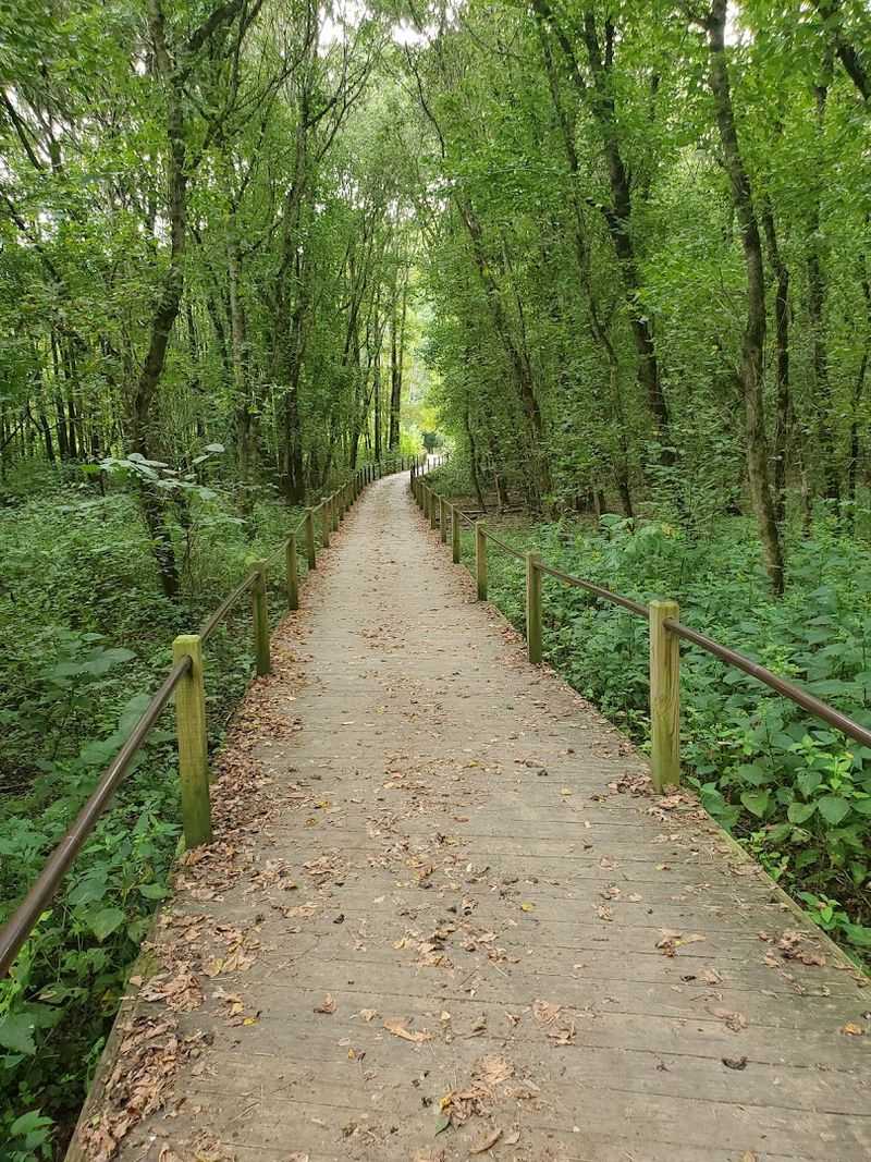 Wildlife And Birdsong That Make Every Walk Feel Different