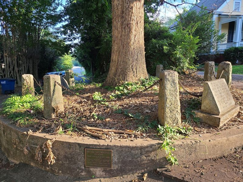 There Is An Ancient Tree In Georgia That Legally Owns Itself And The Ground Around It - Decor Hint Perfect For A Quick Stop Between Other Athens Attractions