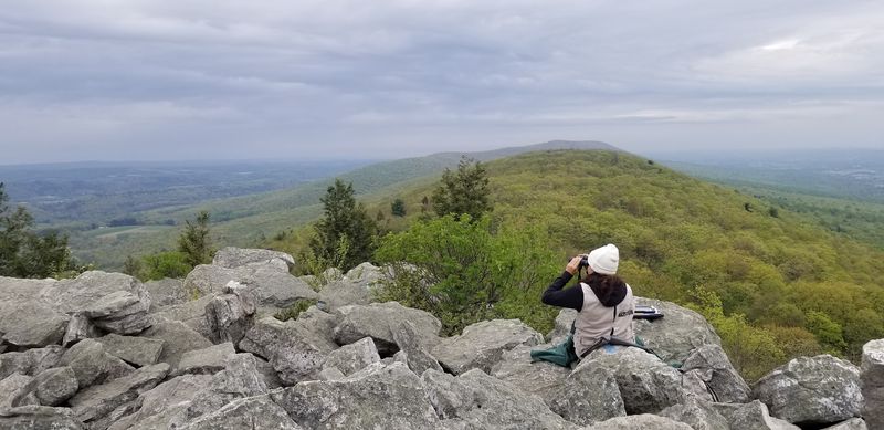 These 9 Pennsylvania Escapes Make Packing Lunch Feel Like A Great Idea - Decor Hint Hawk Mountain Sanctuary, Kempton
