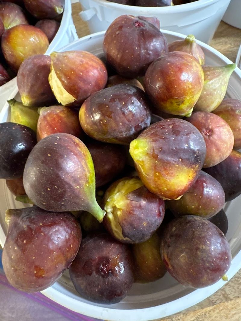 Blueberries, Flowers, And Figs Give The Farm Extra Color