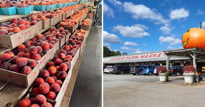 Fresh Peaches, Clean Mountain Air And No Reason To Rush Define This North Georgia Farm Stop