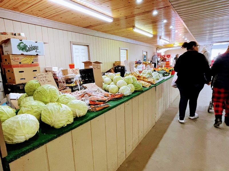 Food Vendors Keep Your Energy Up All Day