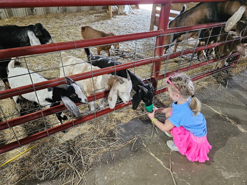 Pick Your Own Fresh Strawberries At A Charming Nebraska Farm This June - Decor Hint Farm Activities Keep Families Around Longer