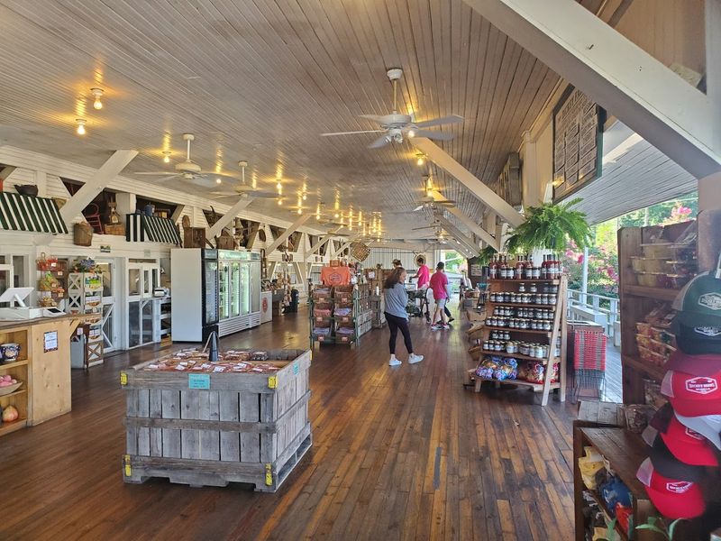 A Family-Friendly Destination With A Playground