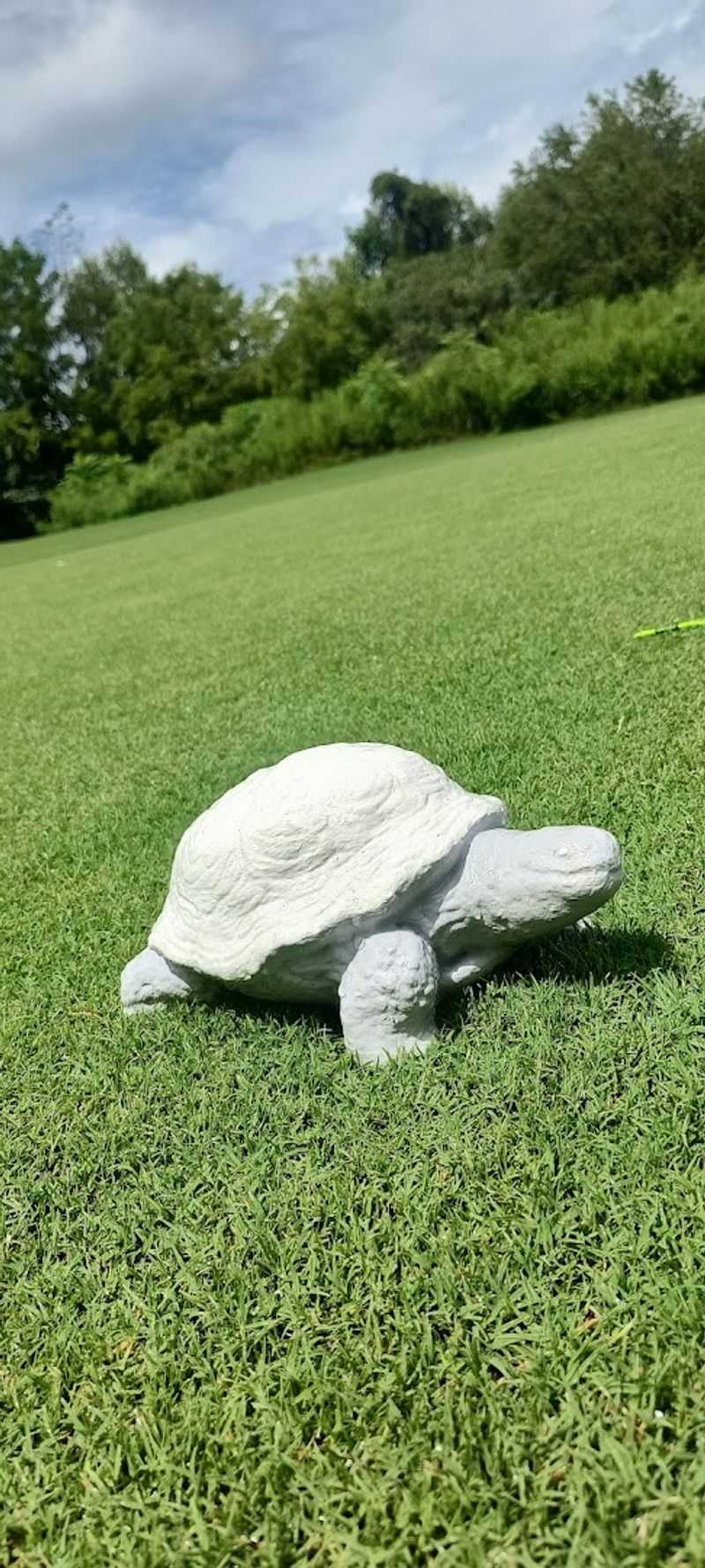 The Georgia Golf Course Where Mountain Views Might Just Make It The State's Finest - Decor Hint Unique Turtle Tee Markers That Add Character