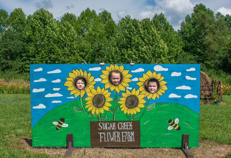Seasonal Flower Festival That Draws Families From Across Kentucky
