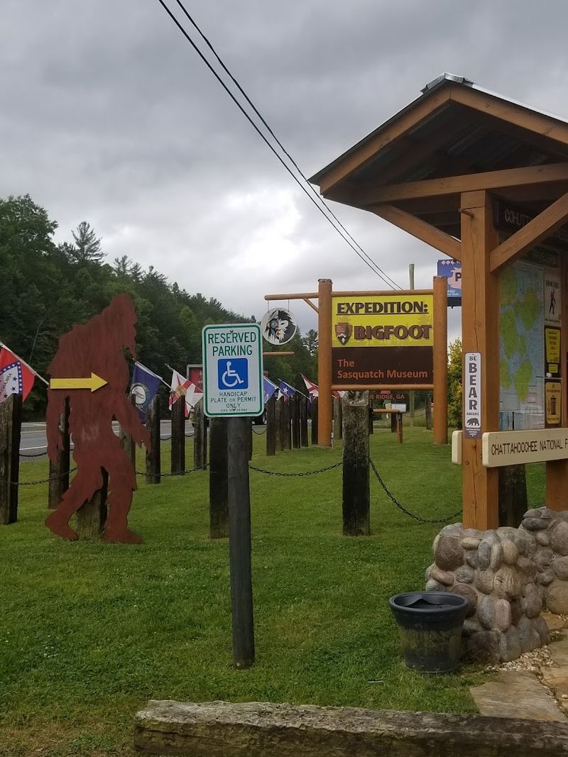 This Fascinating Georgia Museum Is Devoted Entirely To The Long Hunt For Bigfoot - Decor Hint Wheelchair Accessibility For All Visitors
