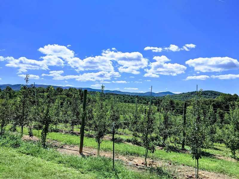 A Complete Day-Trip Destination With Something For Every Age Group