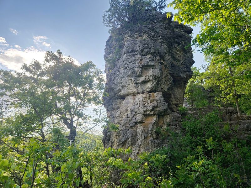 Whitewater State Park Trails