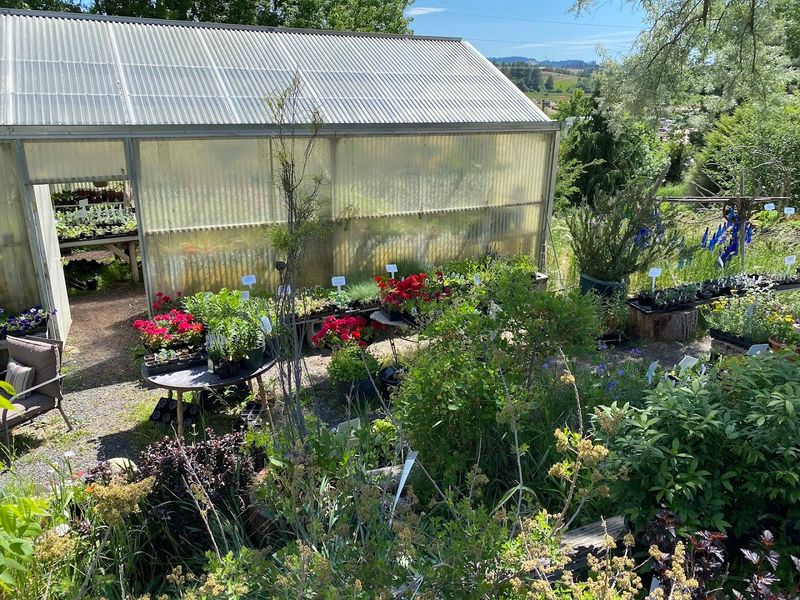 Landscaping And Floral Design Services