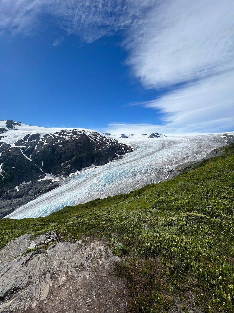 Exit Glacier Up Close