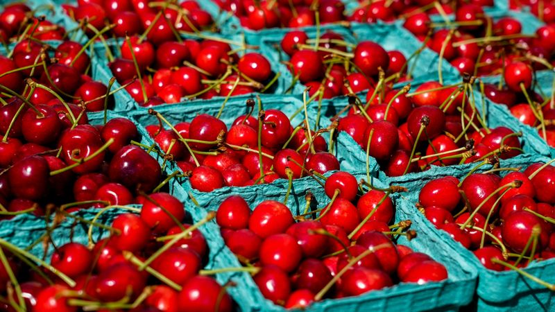 This Idaho Cherry Festival Turns Emmett Into A Sweet Small-Town Summer Tradition - Decor Hint One Idaho Festival Proves Cherries Deserve A Whole Weekend