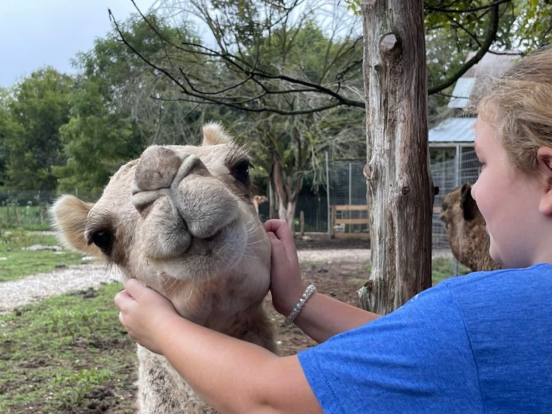 You'll Absolutely Fall In Love With This Peaceful Kentucky Park And Its Farm Animals - Decor Hint A Peaceful And Well-Kept Park Setting
