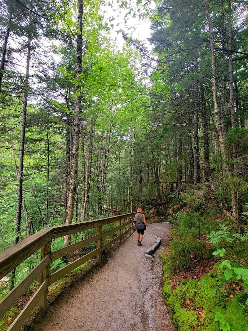 The New Hampshire Boardwalk That Takes You Deep Inside The Mountains - Decor Hint The Trail Loop Worth Taking