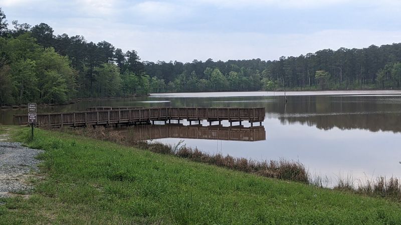 These 15 Georgia Birdwatching Spots Feel Like Hidden Premium Seats To Nature - Decor Hint Piedmont National Wildlife Refuge