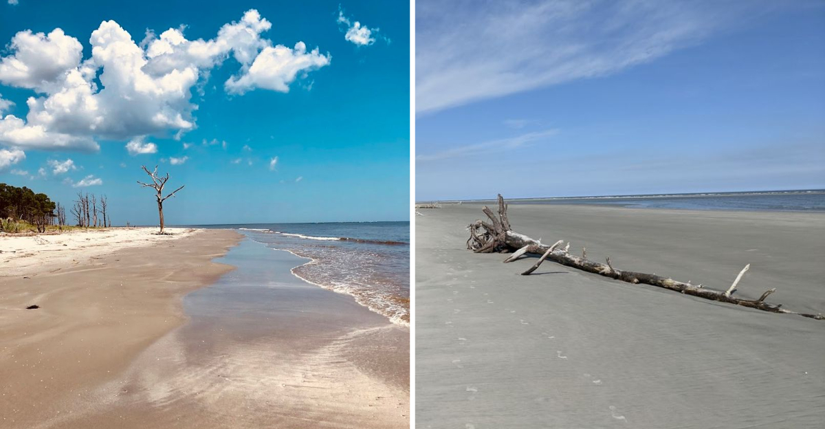 Georgia Has 12 Beaches Where Sea Glass And Rare Shells Are Still Easy To Find - Decor Hint