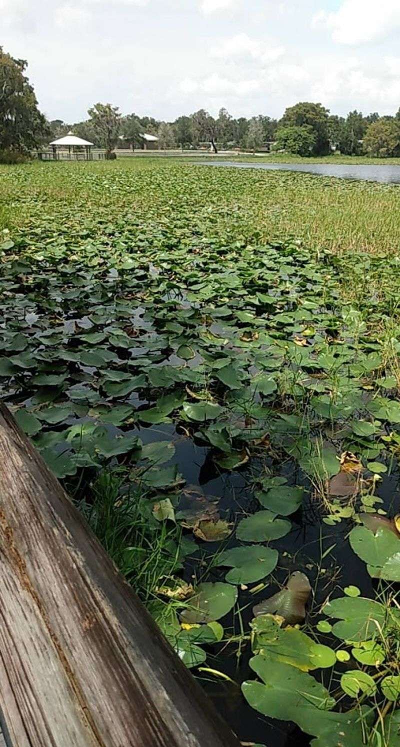 This Bike Trail In Florida Strings Together Four Charming Towns - Decor Hint History Hiding In Plain Sight