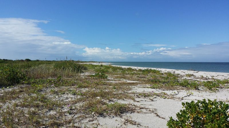 Nine Miles Of Shell-Covered Shoreline