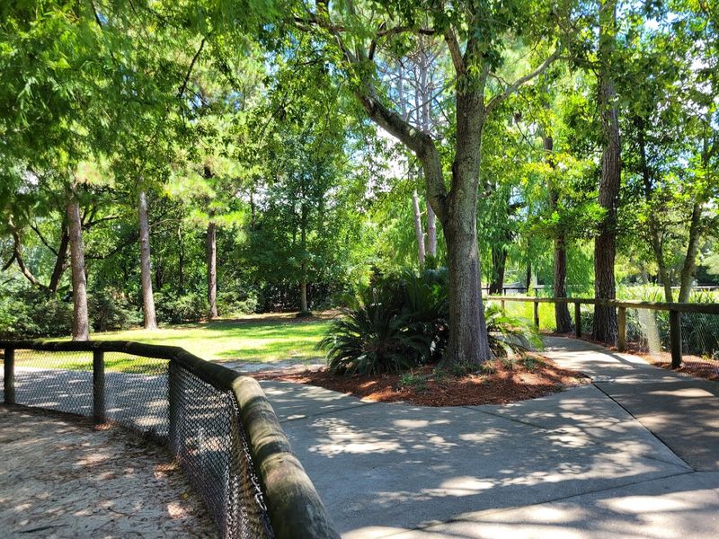 Dining, shade and taking breaks