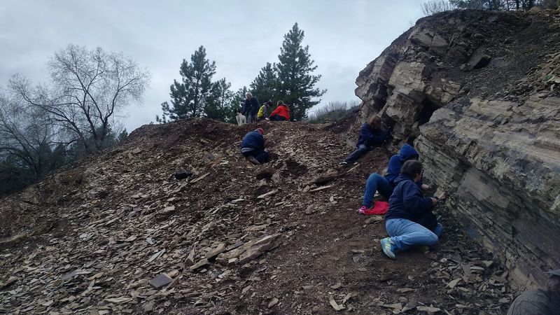 Stonerose Interpretive Center & Eocene Fossil Site