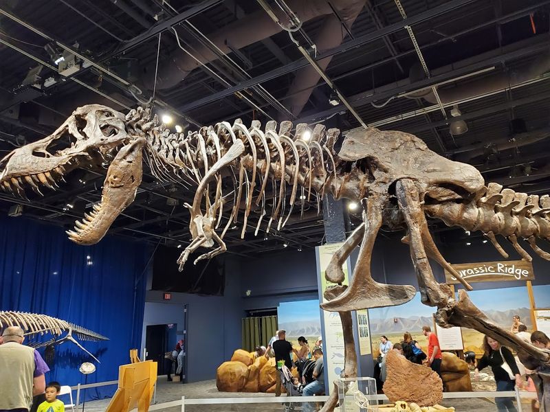 The Florida Children's Museums Where Kids Can Play, Explore, And Forget About Going Home - Decor Hint Orlando Science Center