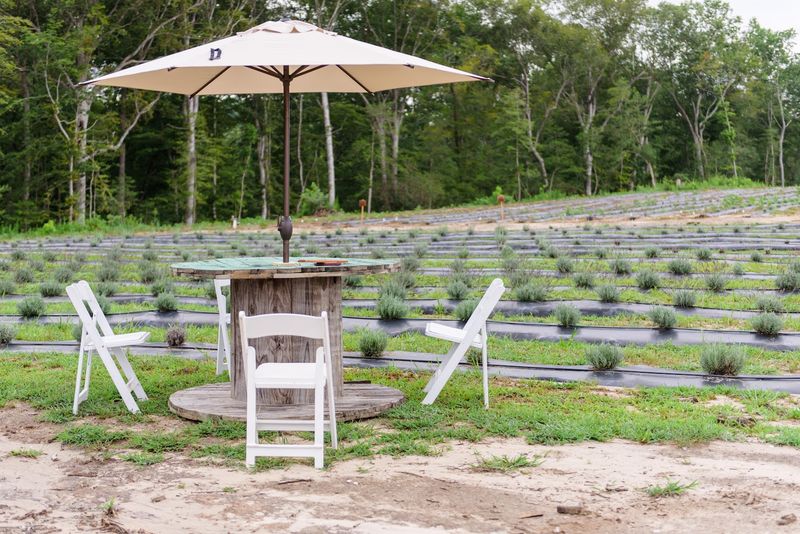 Under The Stars Farm