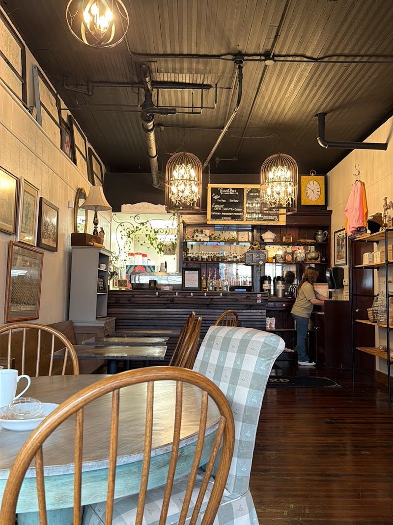 Yellow Bird Coffee House, Springfield