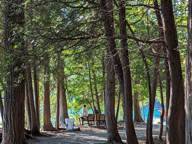 Picnicking With A View That Beats Any Restaurant Patio