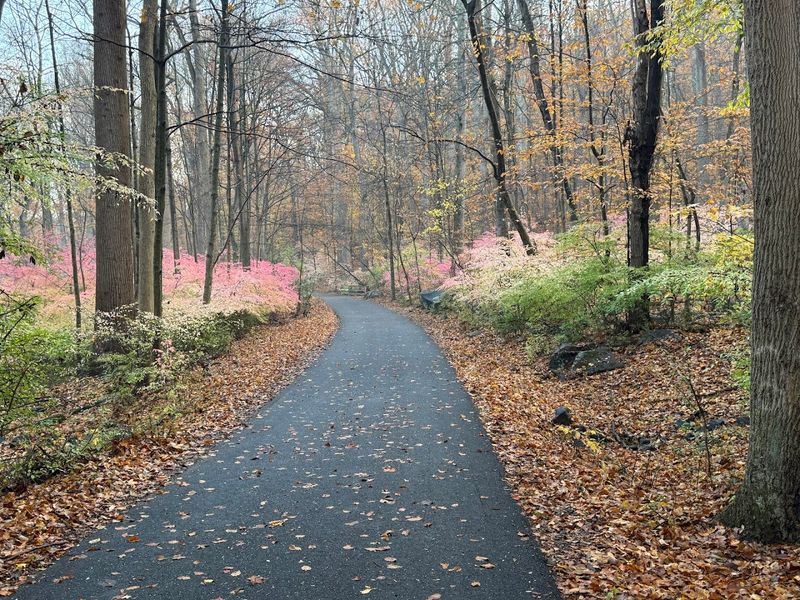 Brandywine Creek State Park, Wilmington