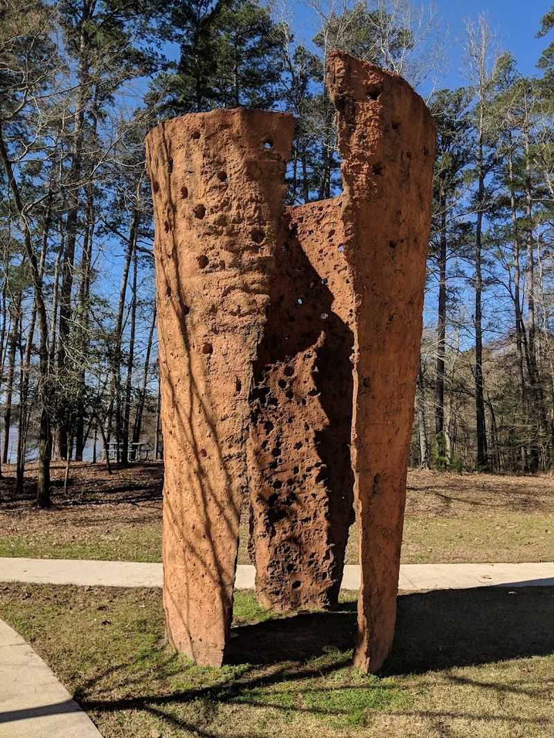 Lake D'Arbonne State Park