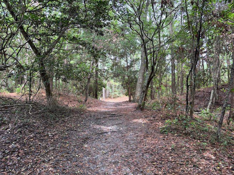 Wooded Sections Add A Little Shade To The Ride
