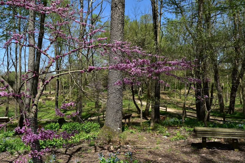 Creasey Mahan Nature Preserve