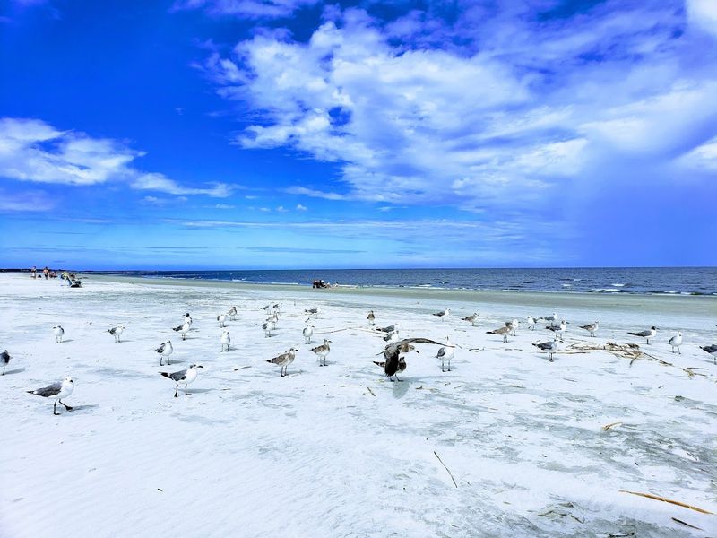 East Beach - St. Simons Island