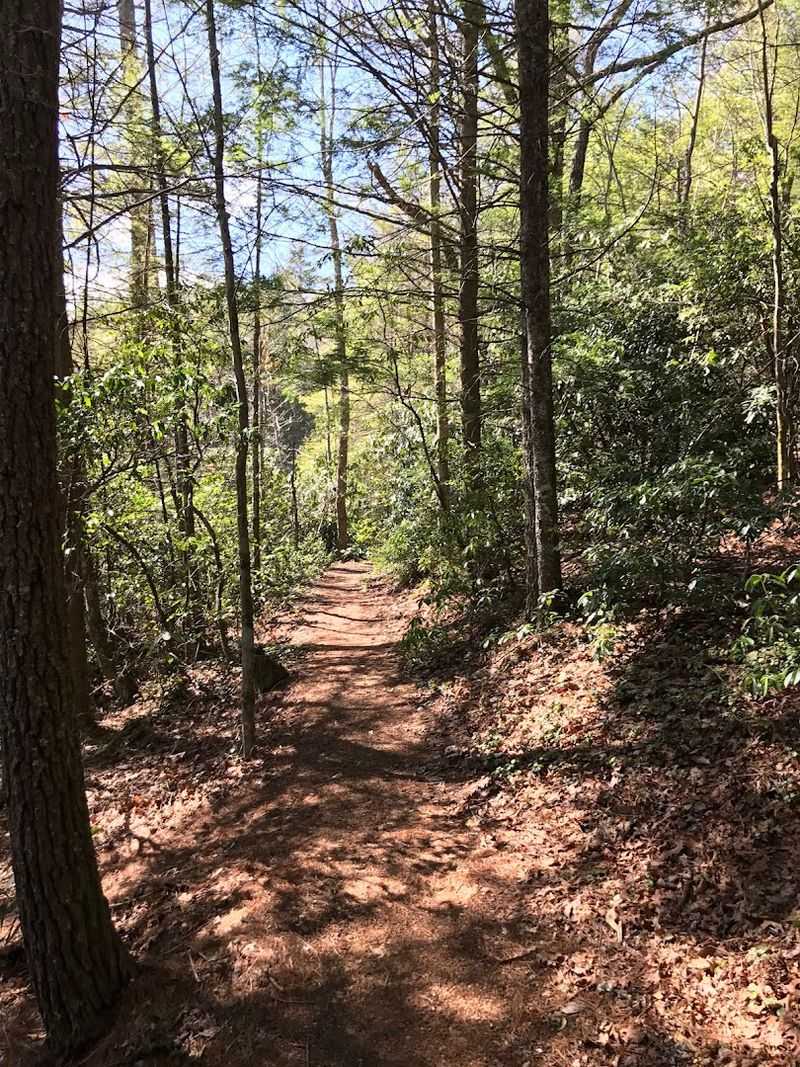 Comers Rock, Jefferson National Forest, Grayson/Wythe County Border