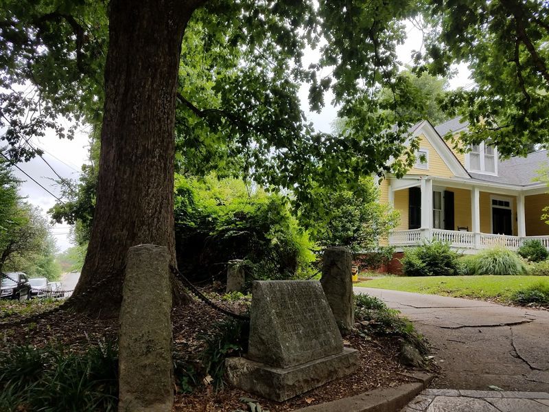 There Is An Ancient Tree In Georgia That Legally Owns Itself And The Ground Around It - Decor Hint A Meaningful Stop For Nature And History Lovers