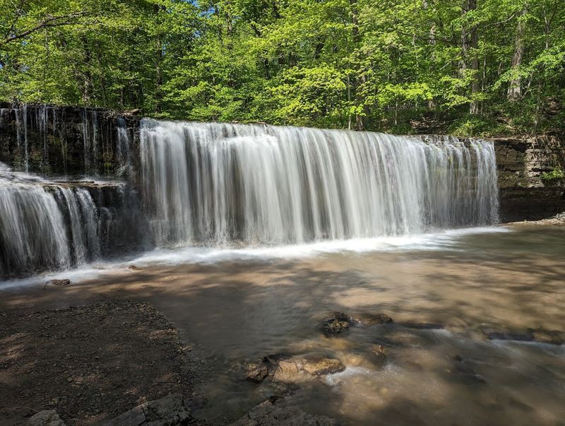 Nerstrand Big Woods State Park Trails
