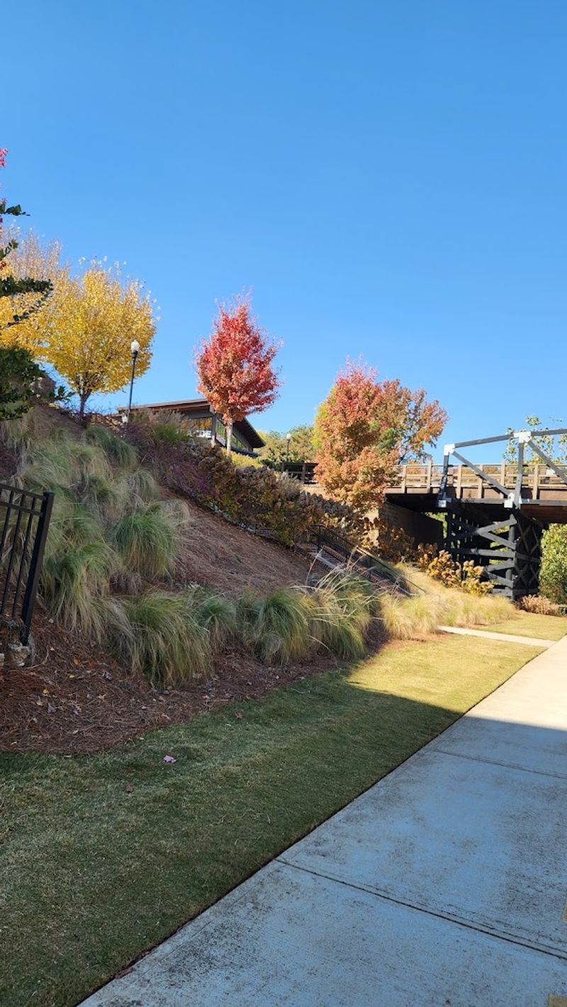 Perfect Spot For A Morning Or Evening Walk