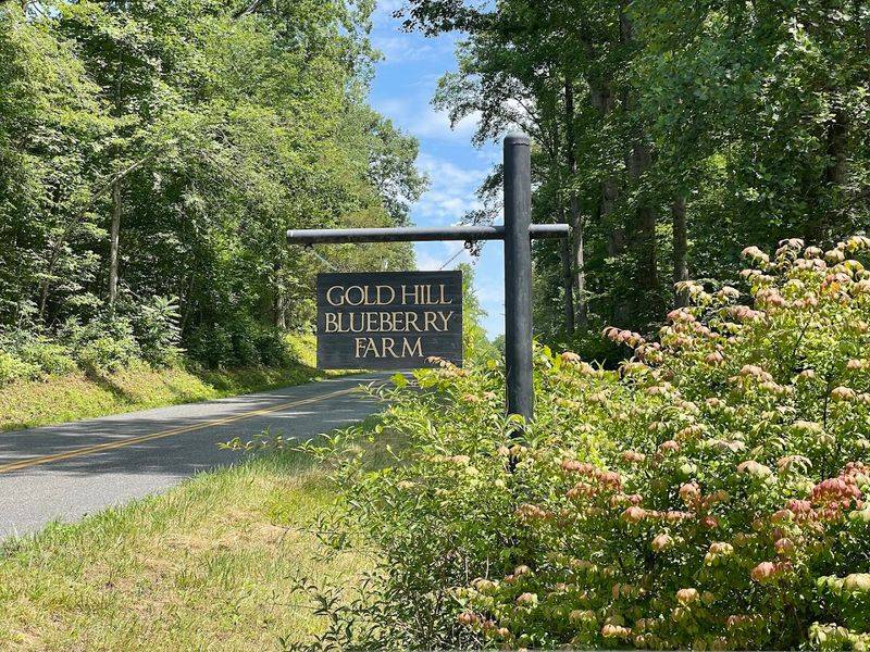 Gold Hill Blueberry Farm