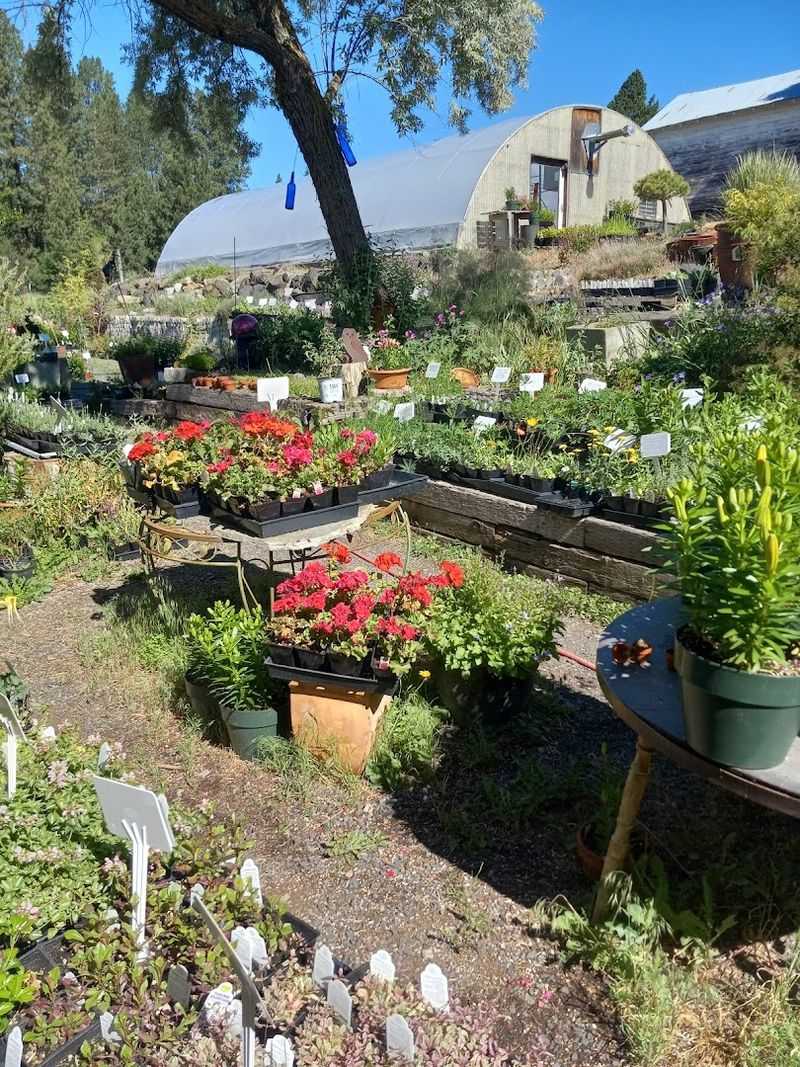 Plants For Every Type Of Gardener