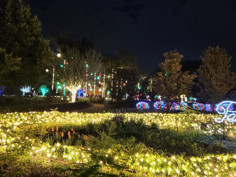Seasonal Events That Transform the Garden