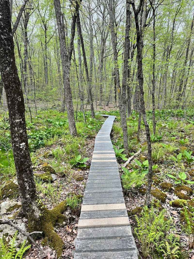 Devil's Den Preserve, Weston
