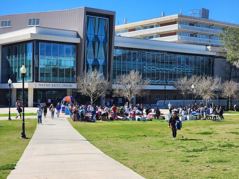 The University Of Florida Effect On The Local Economy