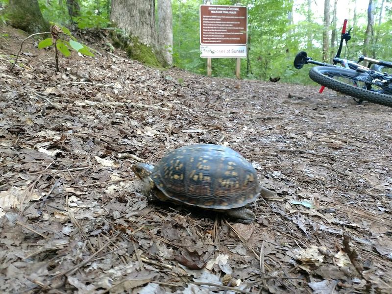 A Trailhead Setup That Covers The Basics Thoughtfully