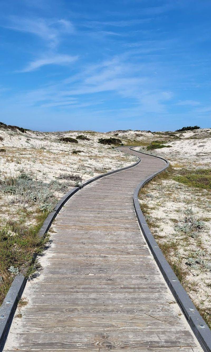 Asilomar Dunes Natural Preserve, Pacific Grove