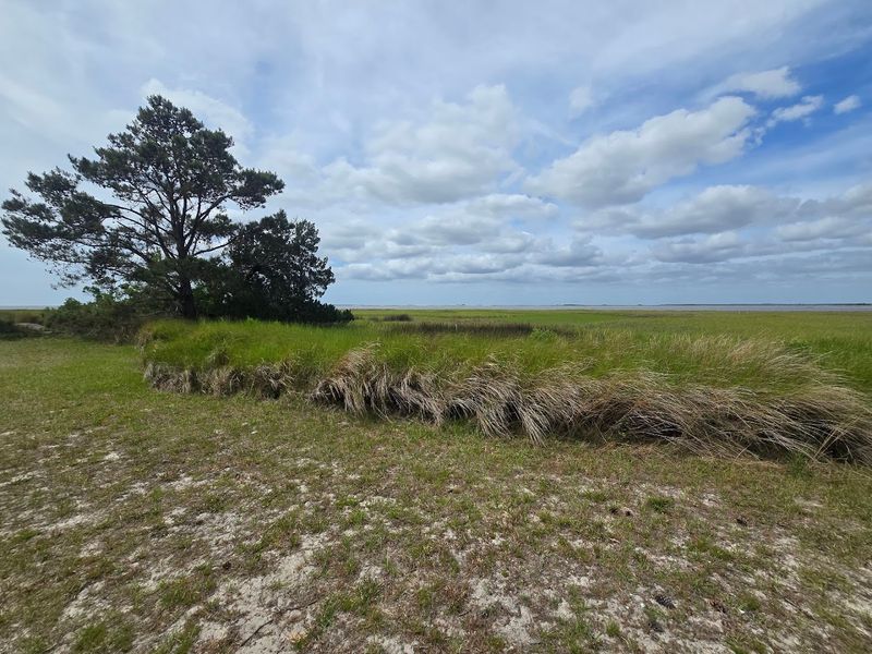 Hog Hammock Community And Its Rich Gullah Geechee Heritage
