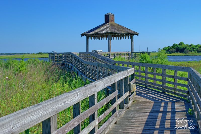 You Can Take These 9 North Carolina Road Trips Without Draining The Wallet - Decor Hint Brunswick Islands Coastal Drive