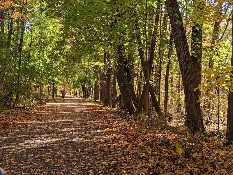 Waveny Park, New Canaan