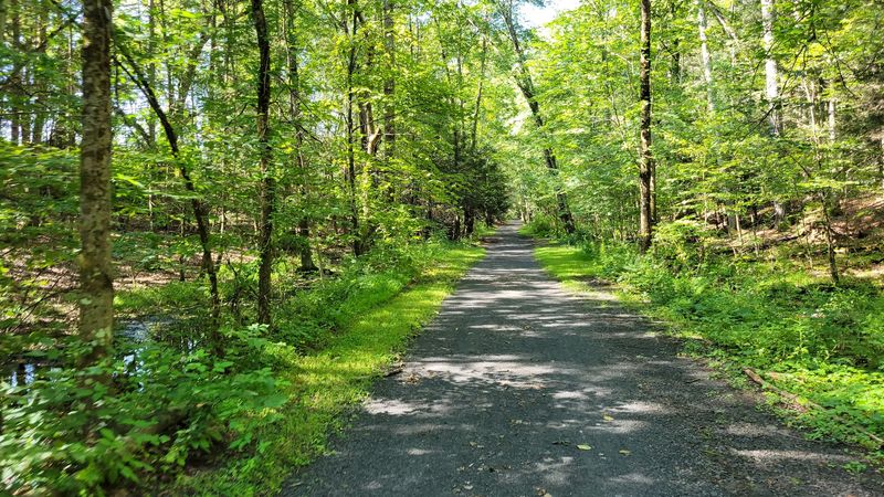 Leave The Crowds Behind On These 10 Dreamy New York Bike Routes - Decor Hint O&W Rail Trail