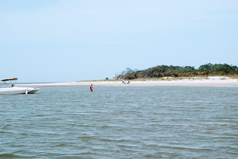 These 15 Georgia Birdwatching Spots Feel Like Hidden Premium Seats To Nature - Decor Hint Wassaw National Wildlife Refuge