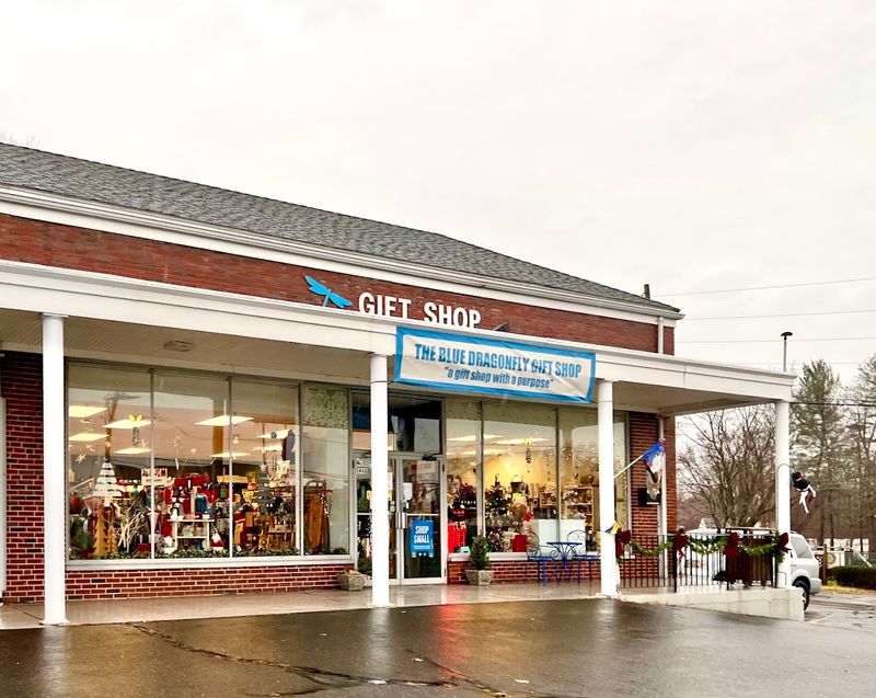 The Blue Dragonfly Gift Shop, Windsor